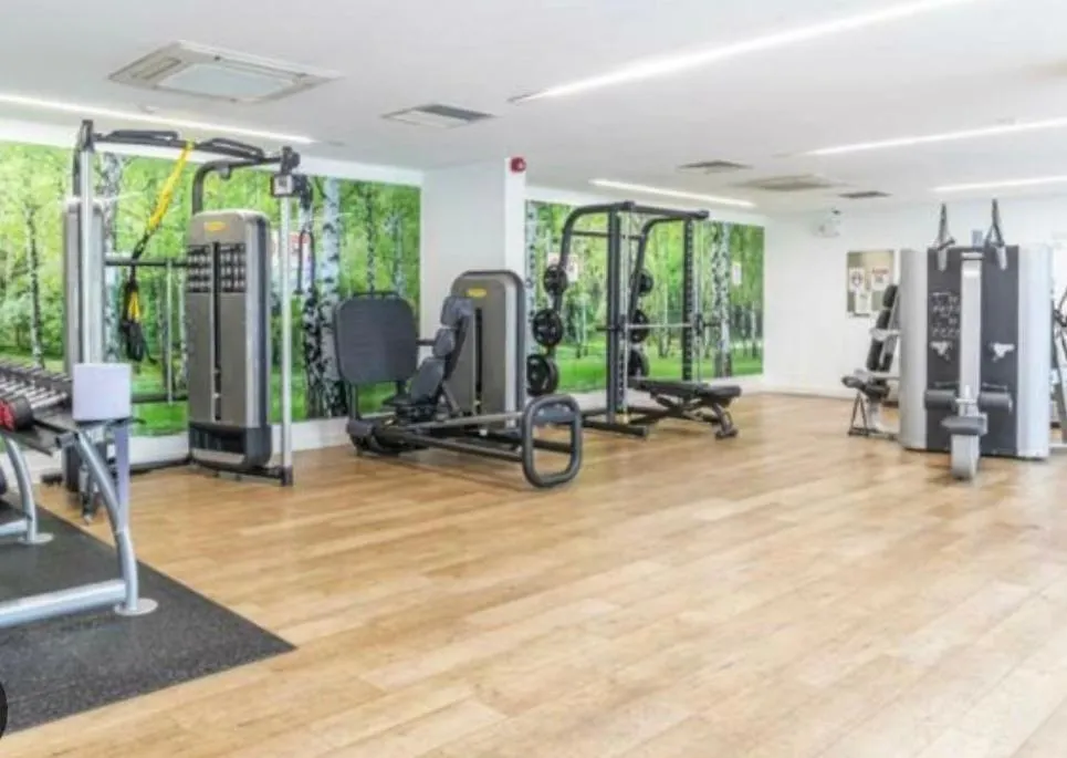 Luxury Apartment Lewisham - Zone 2 London 0*,